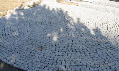 021-galeria-ogrod-nr-2
